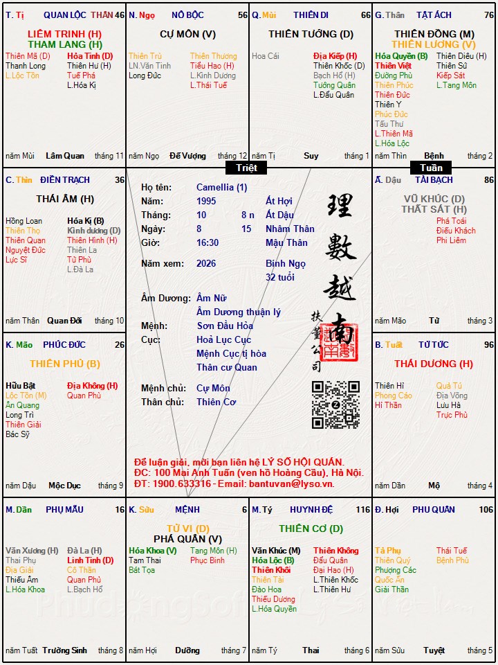 Hình ảnh