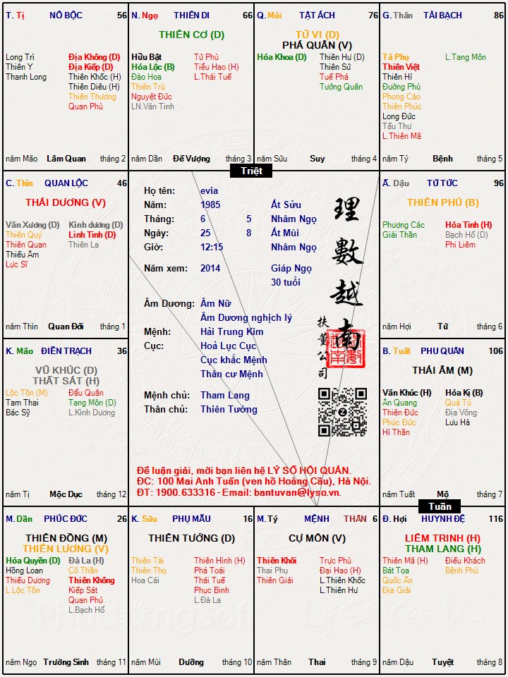 Hình ảnh