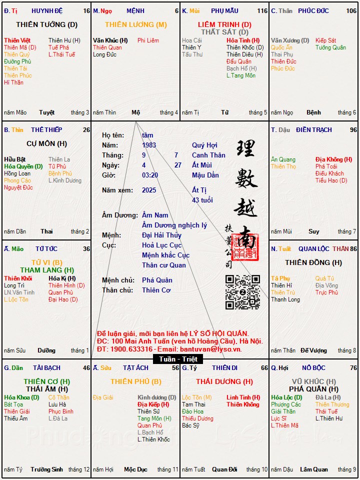 Hình ảnh
