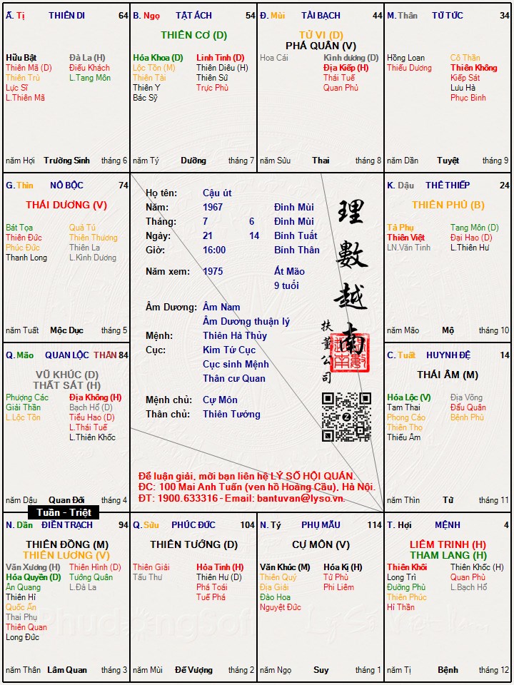 Hình ảnh