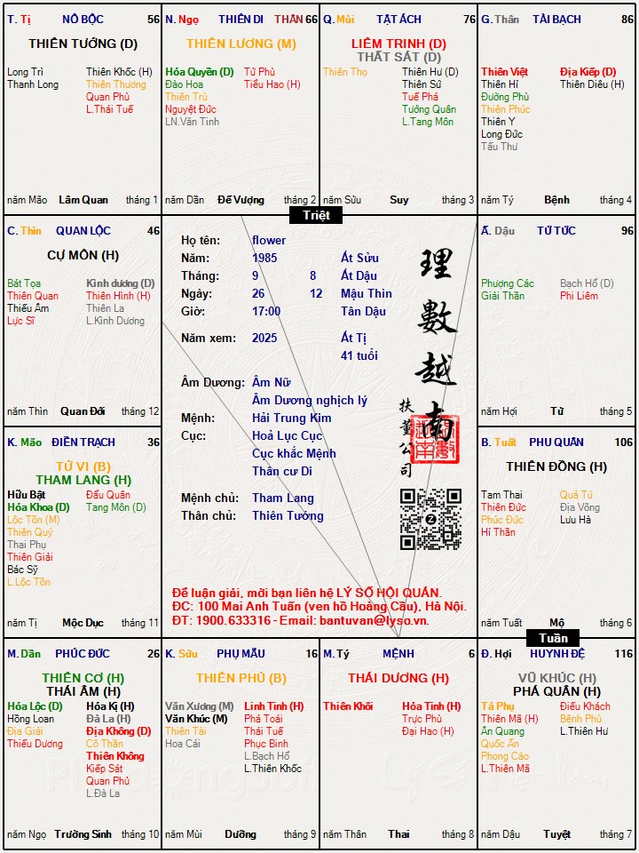 Hình ảnh