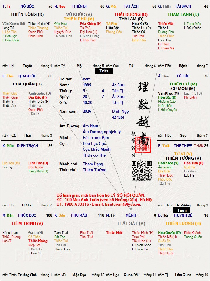 Hình ảnh