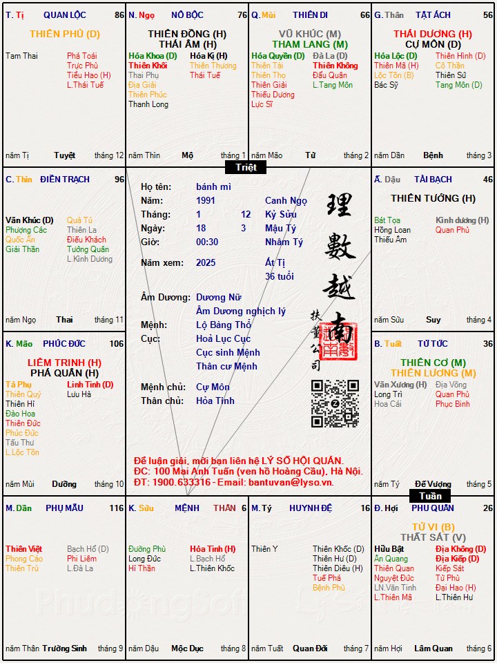 Hình ảnh