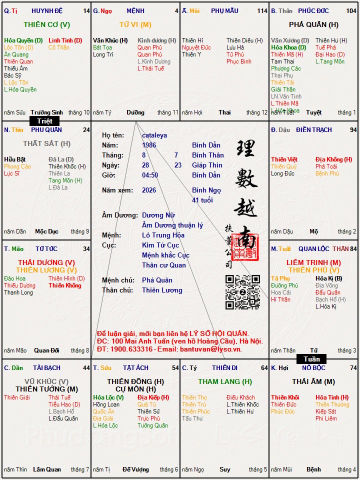 Hình ảnh
