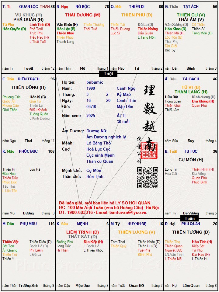 Hình ảnh