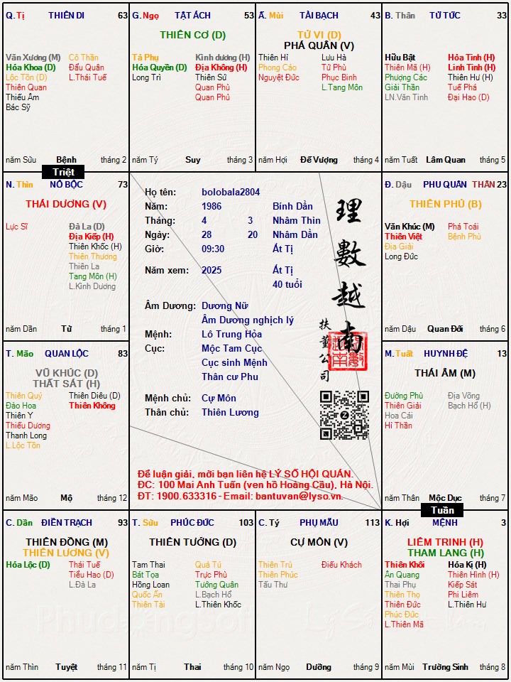 Hình ảnh