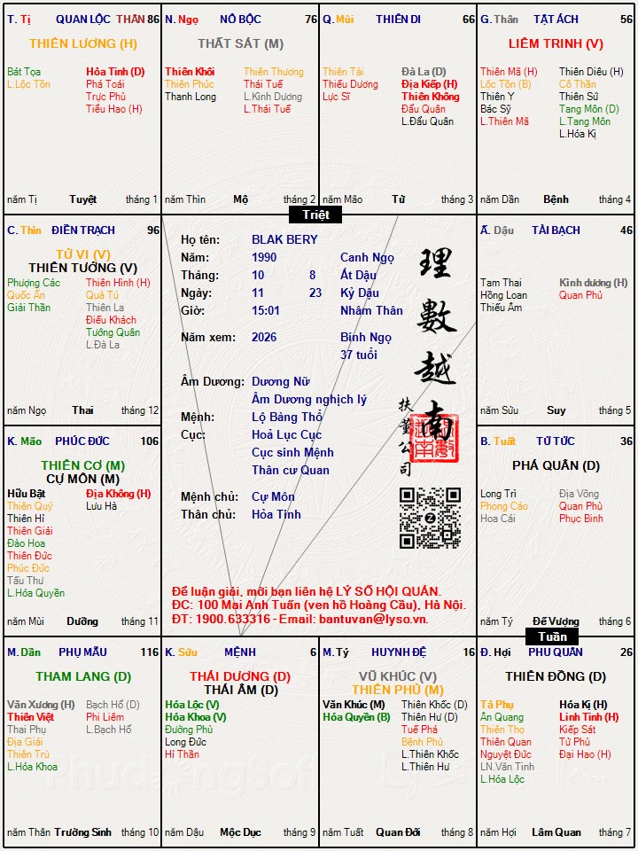 Hình ảnh