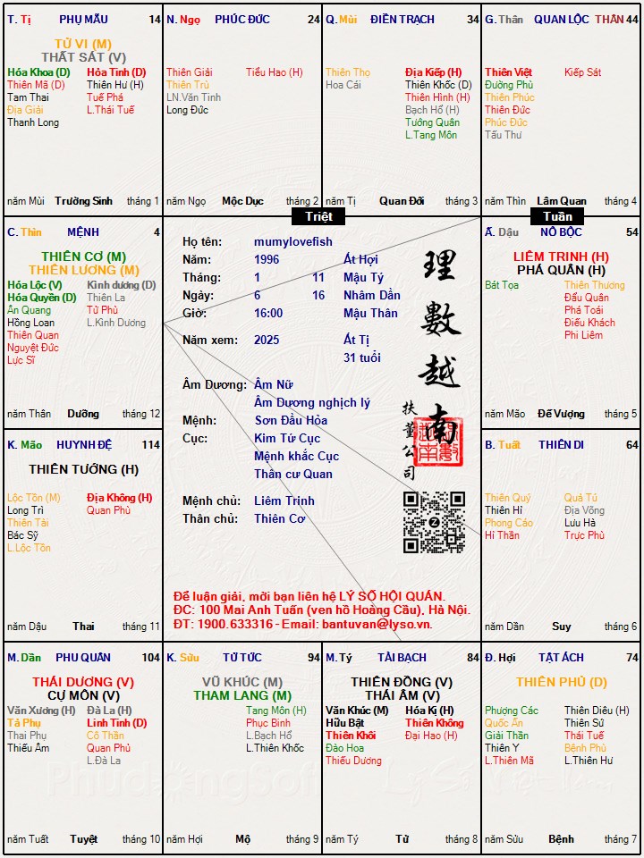 Hình ảnh