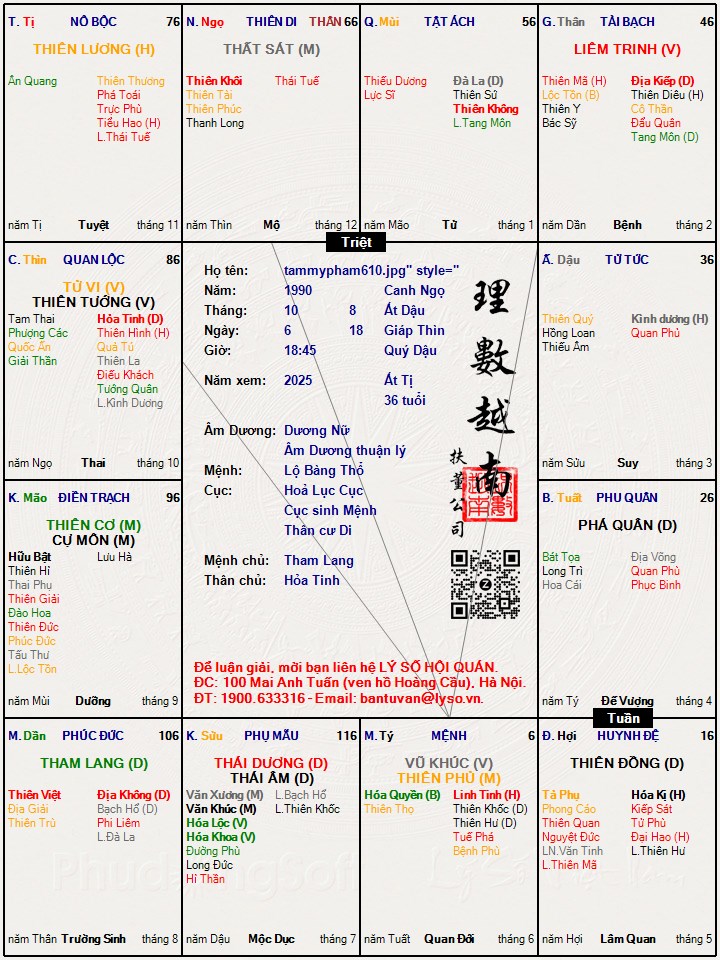 Hình ảnh