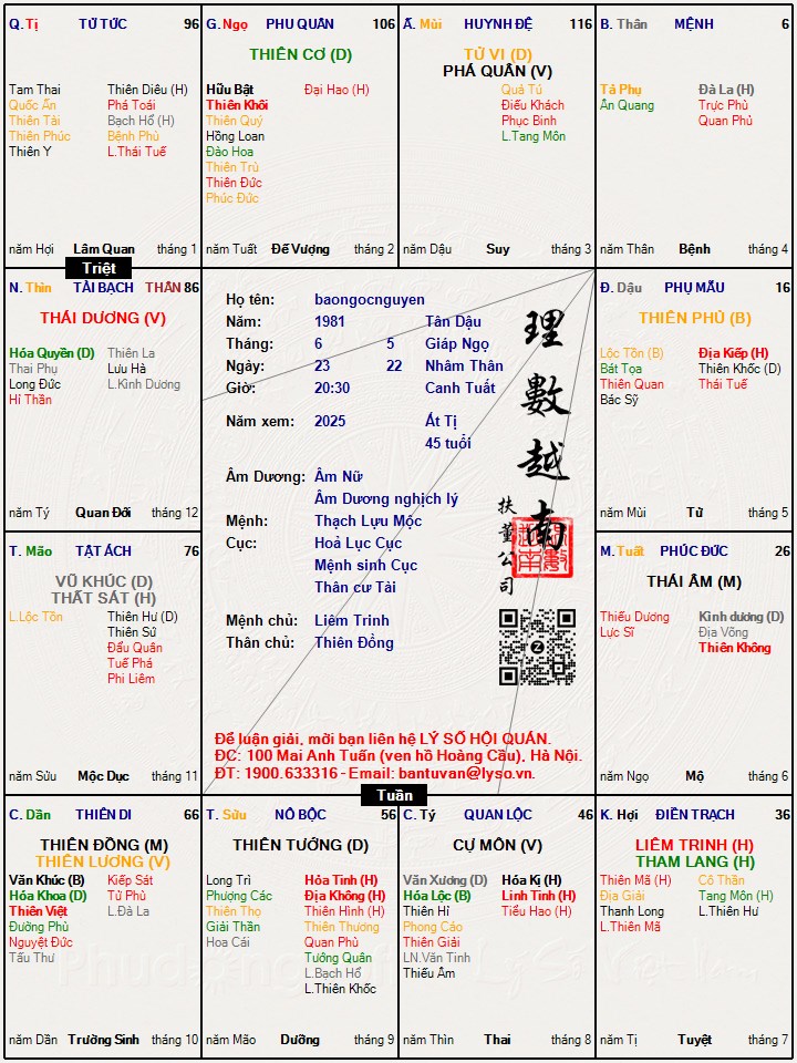 Hình ảnh