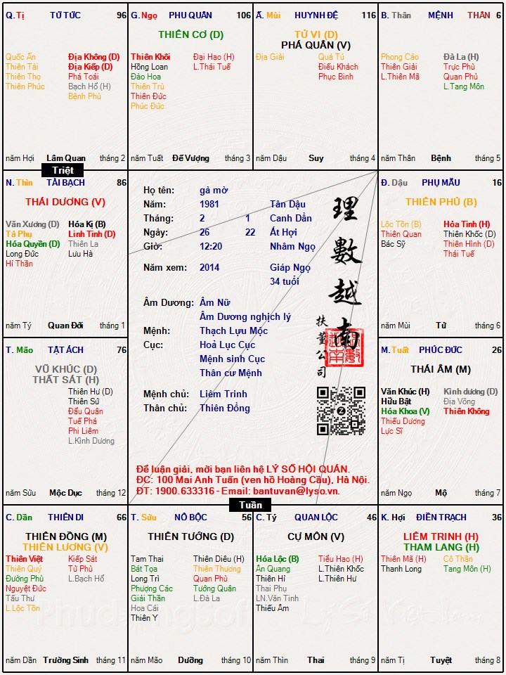 Hình ảnh