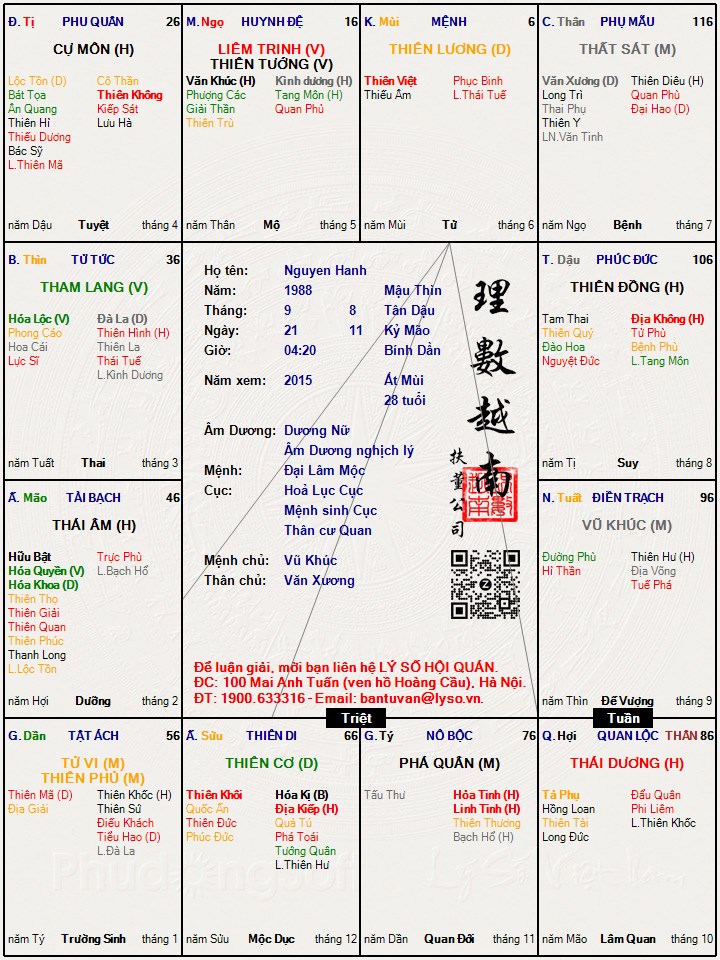 Hình ảnh