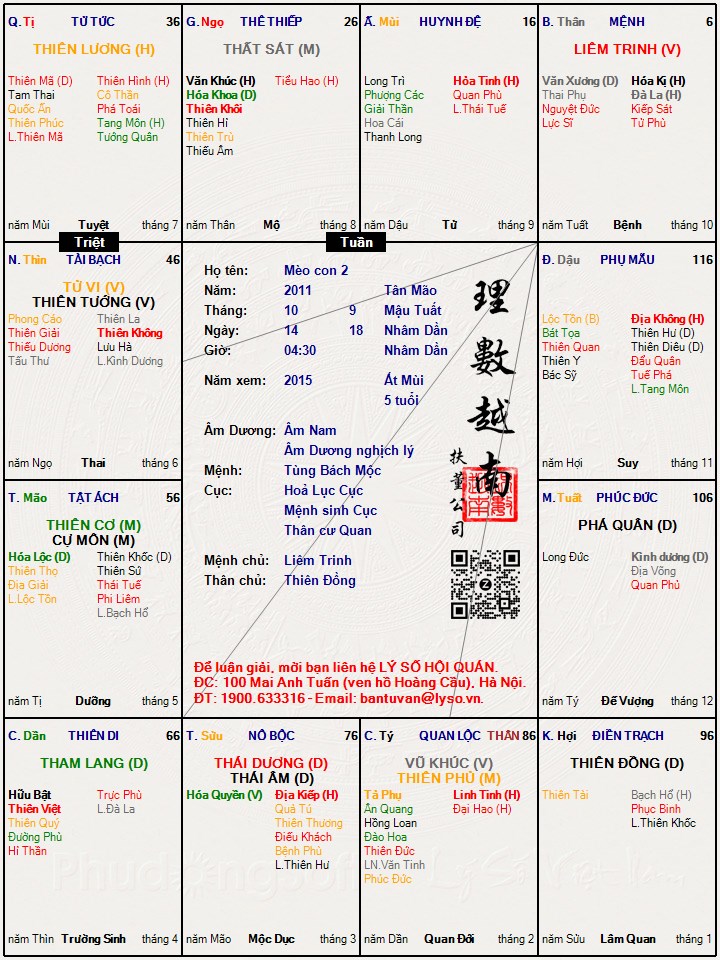 Hình ảnh