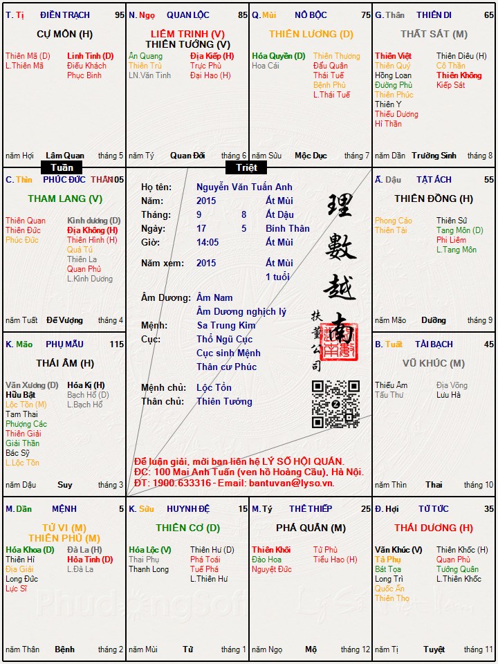 Hình ảnh