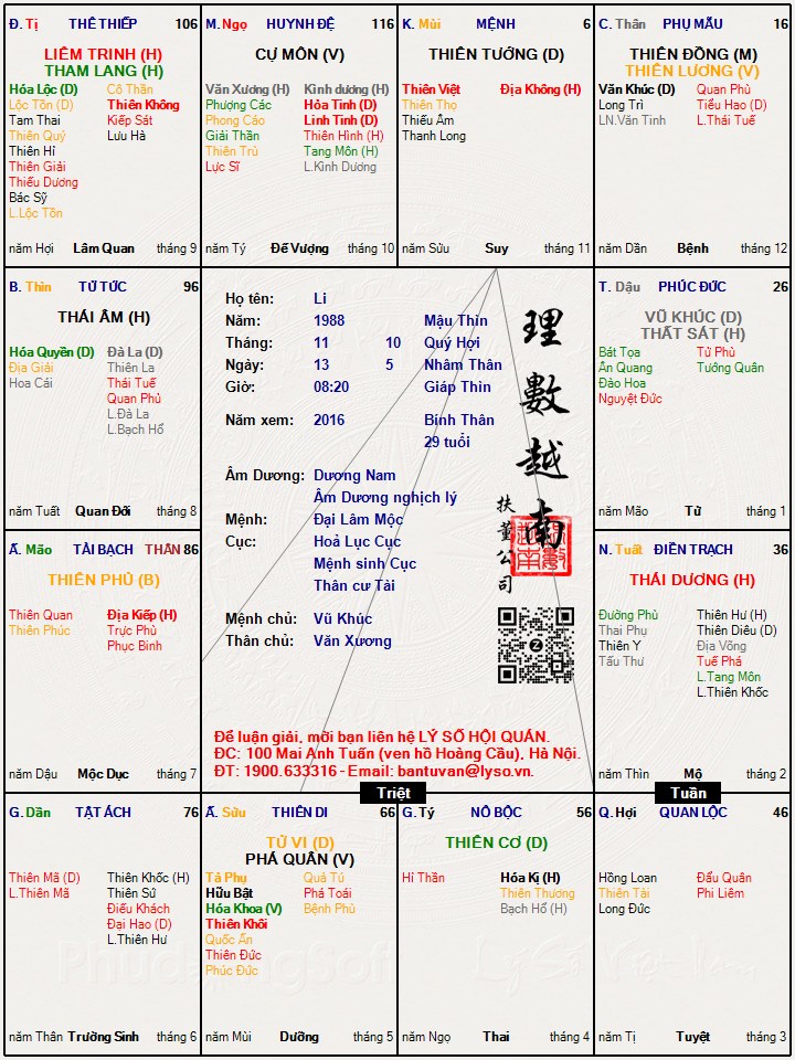 Hình ảnh