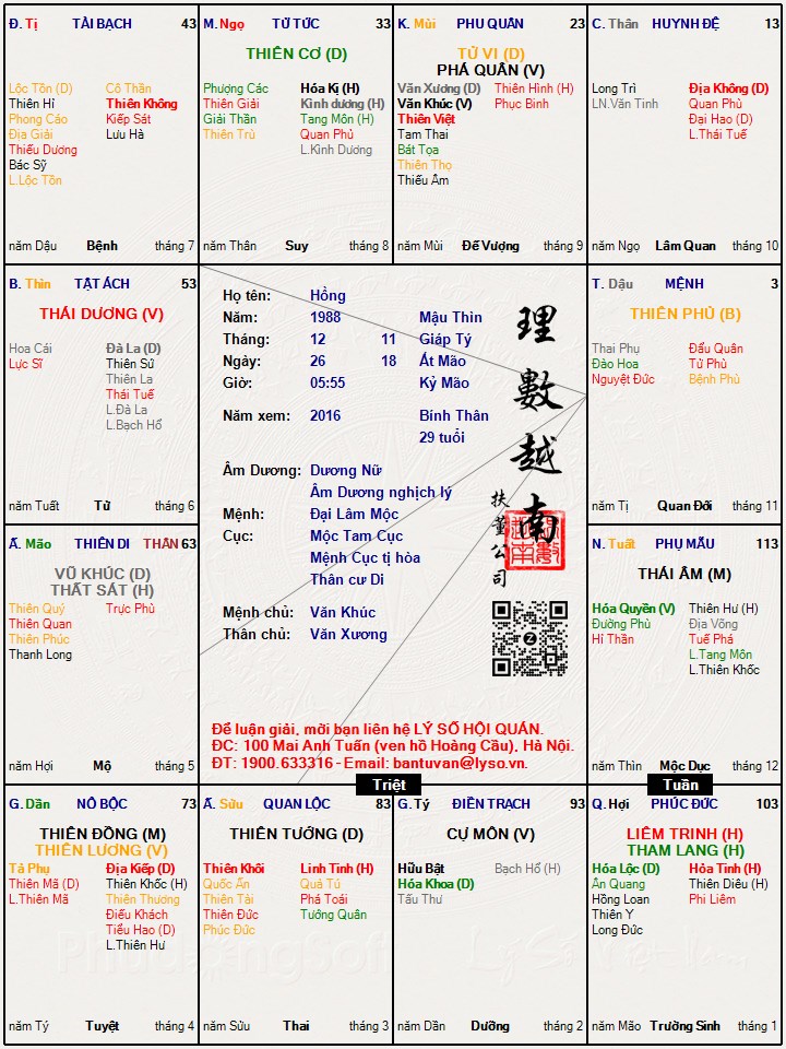 Hình ảnh