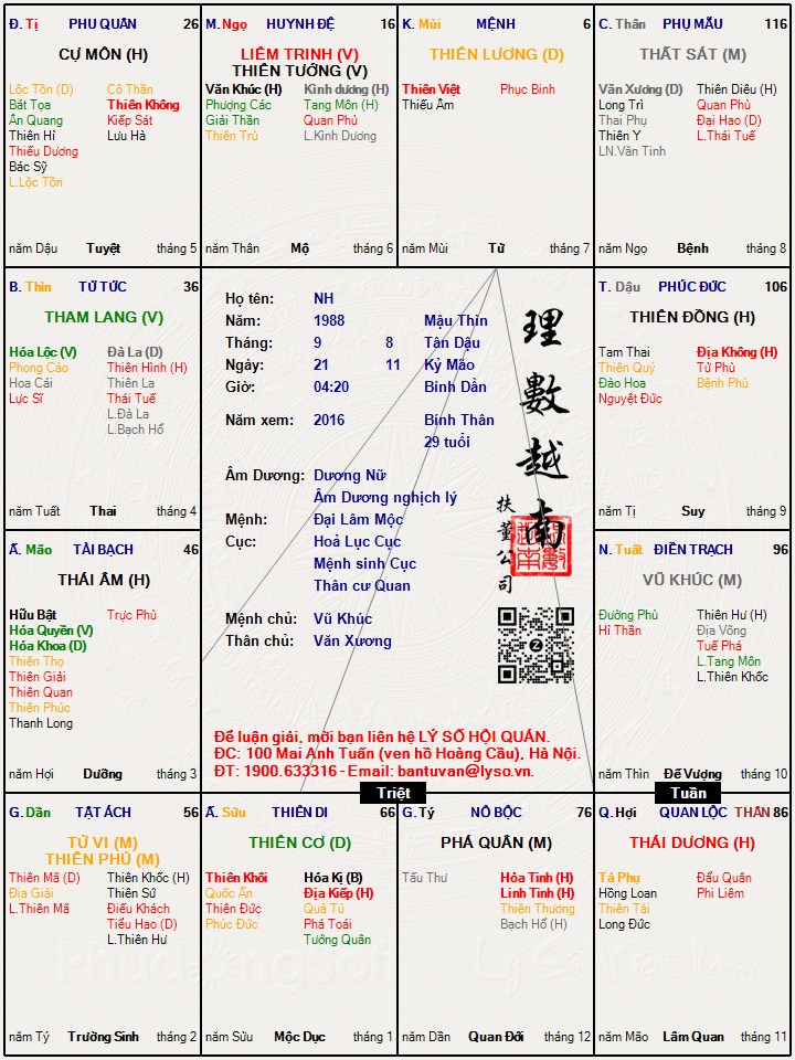 Hình ảnh