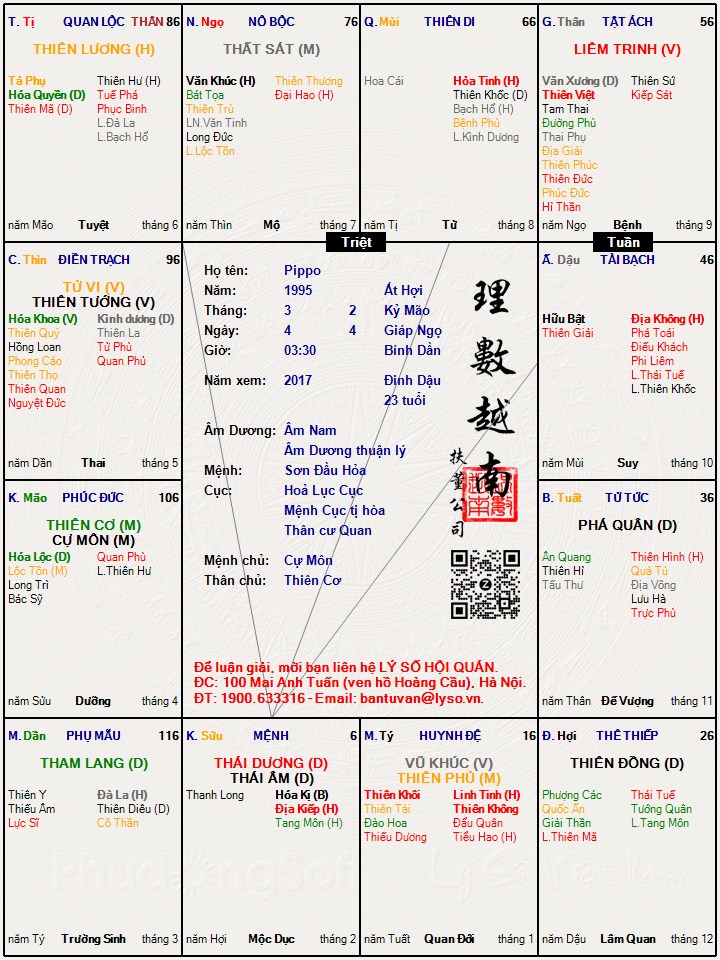 Hình ảnh