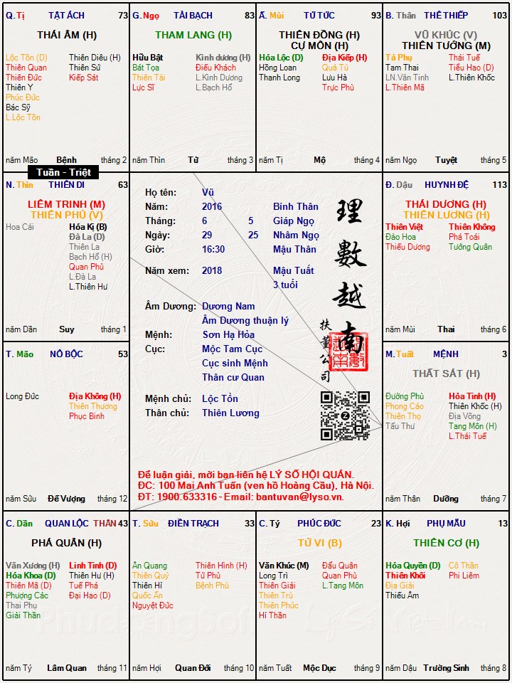 Hình ảnh