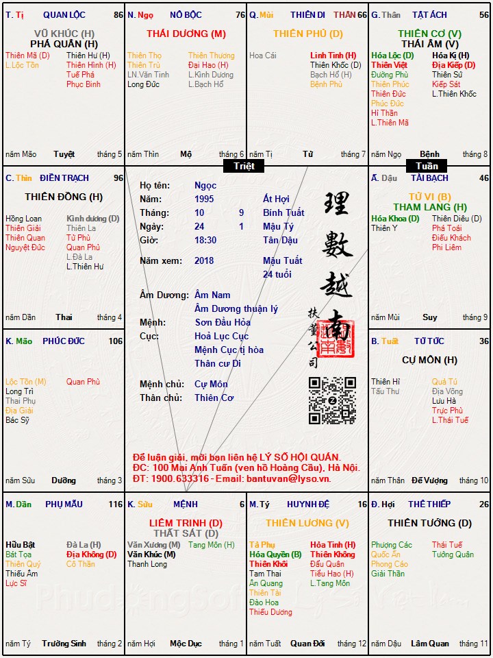 Hình ảnh
