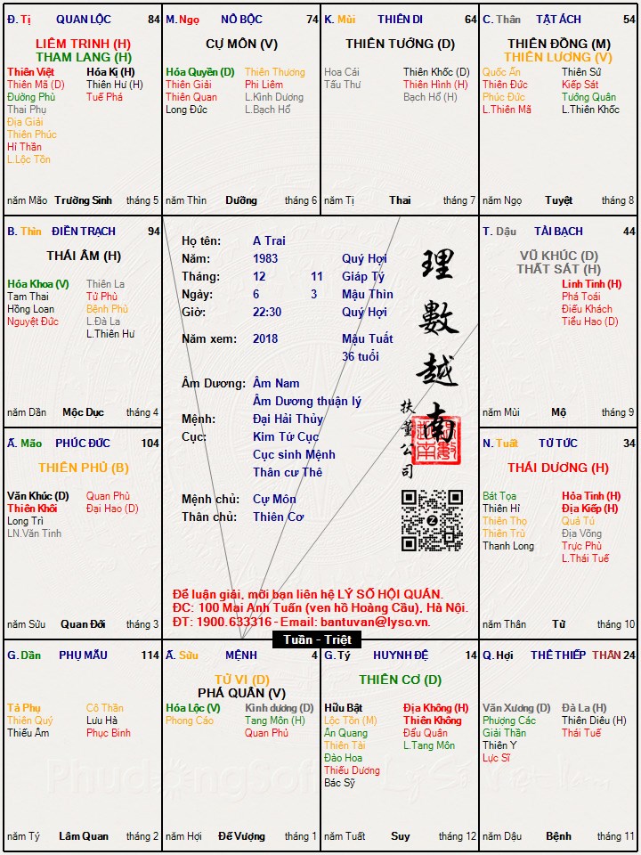 Hình ảnh