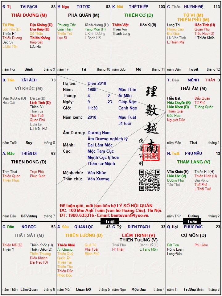 Hình ảnh