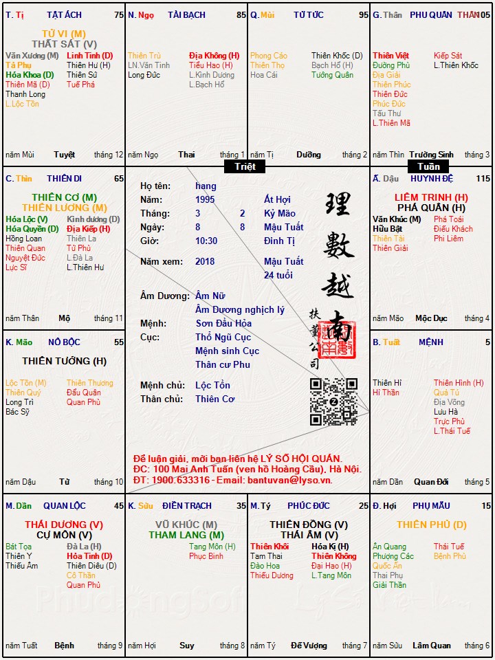 Hình ảnh