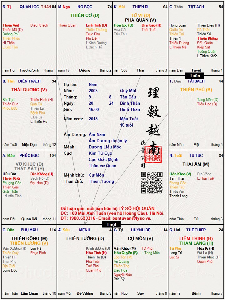 Hình ảnh