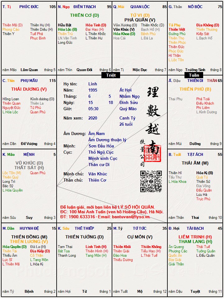 Hình ảnh