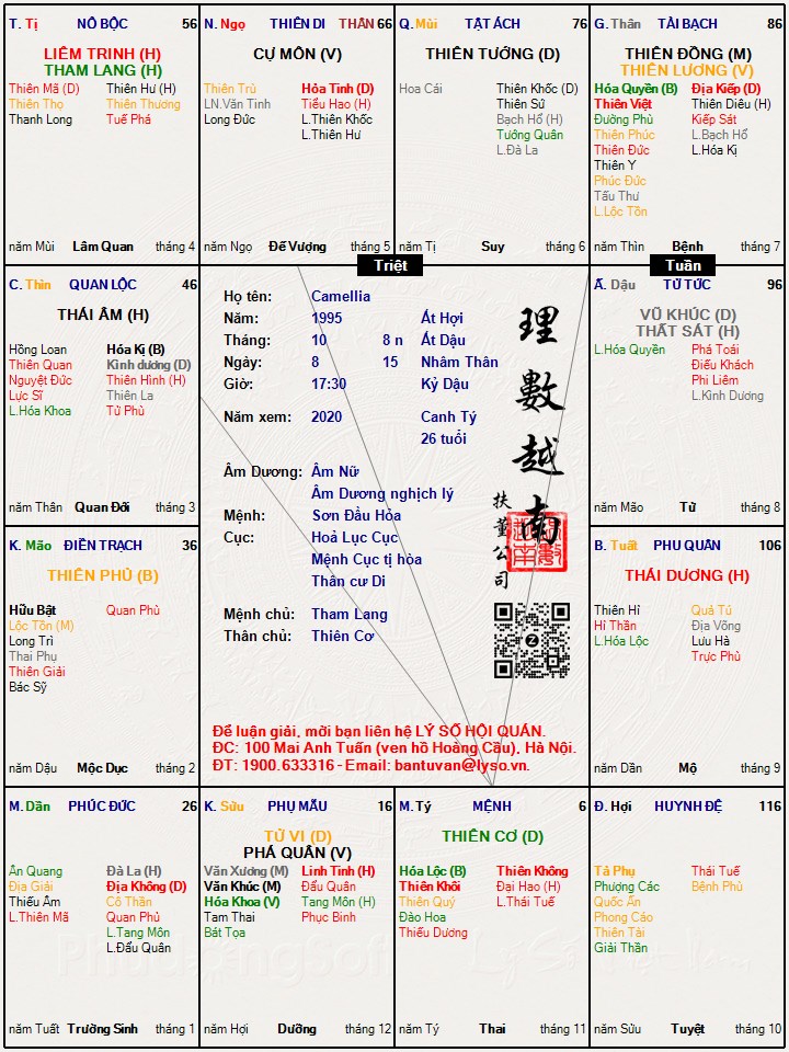 Hình ảnh