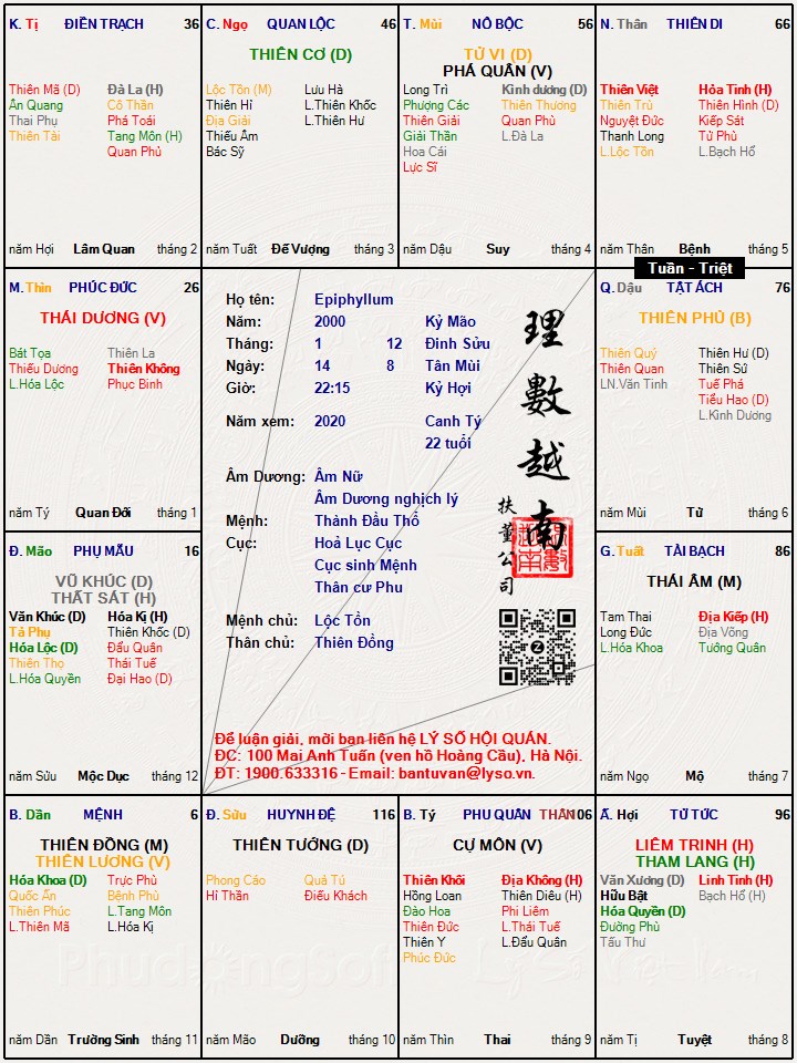 Hình ảnh