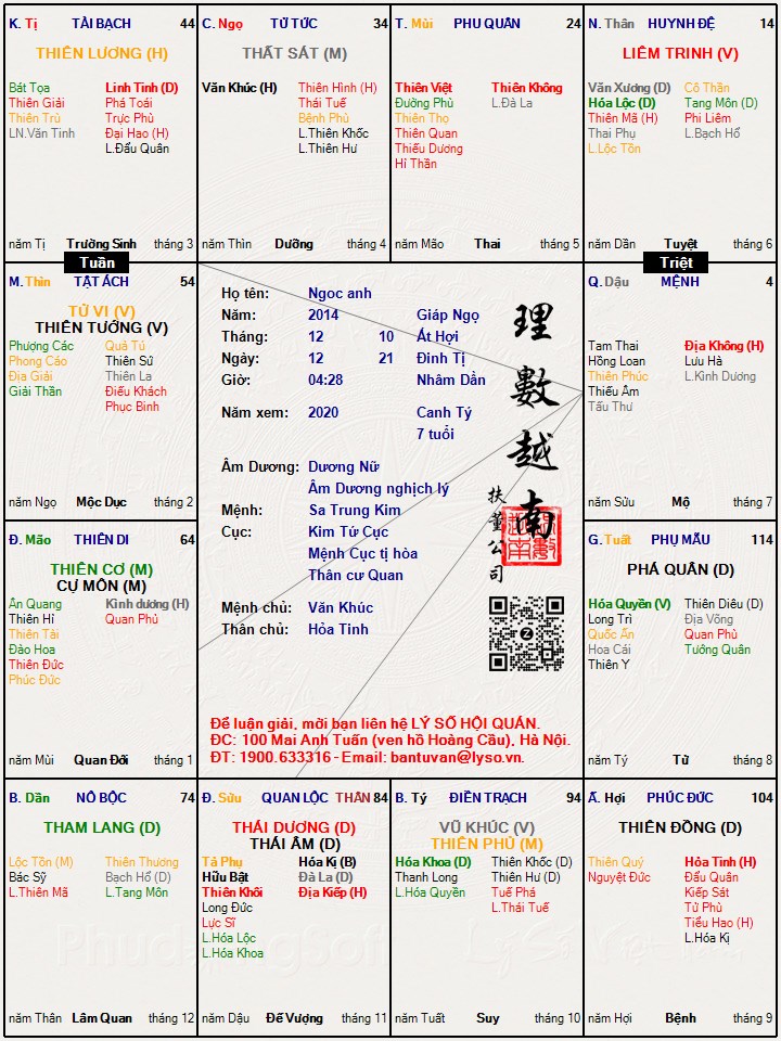 Hình ảnh