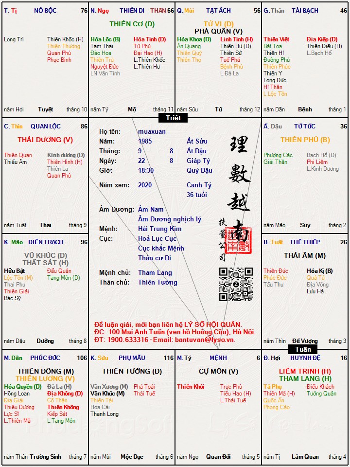 Hình ảnh
