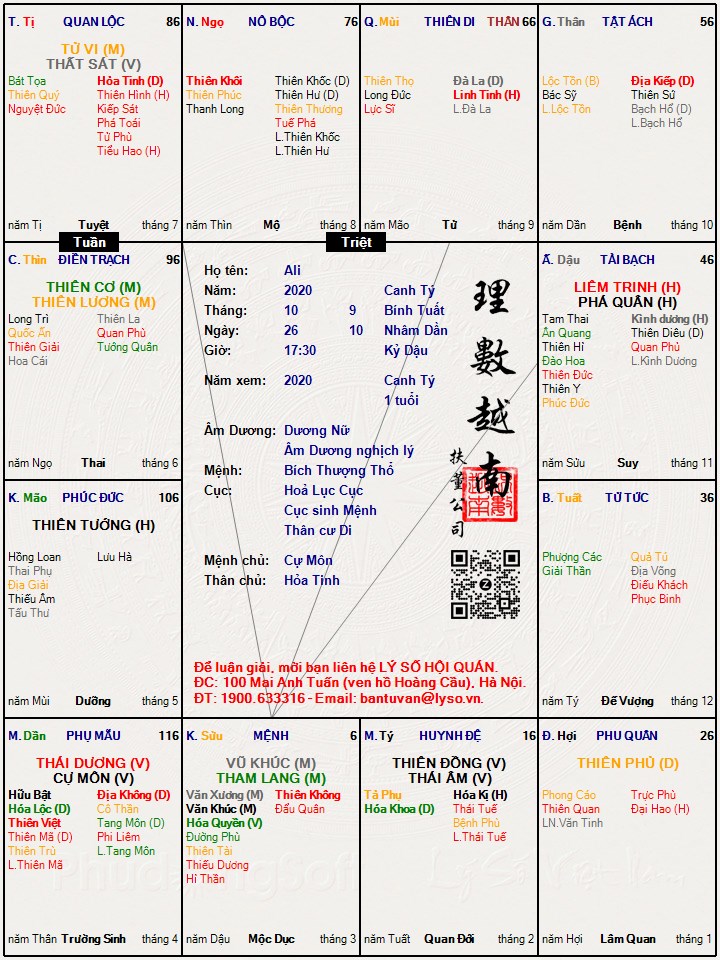 Hình ảnh