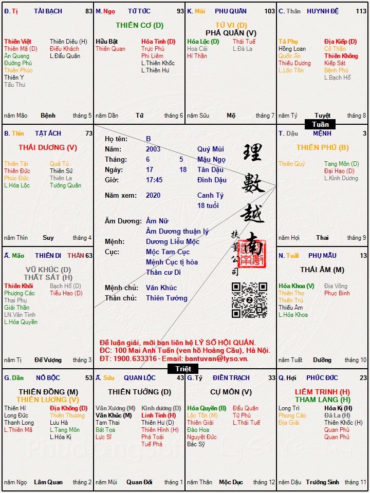 Hình ảnh