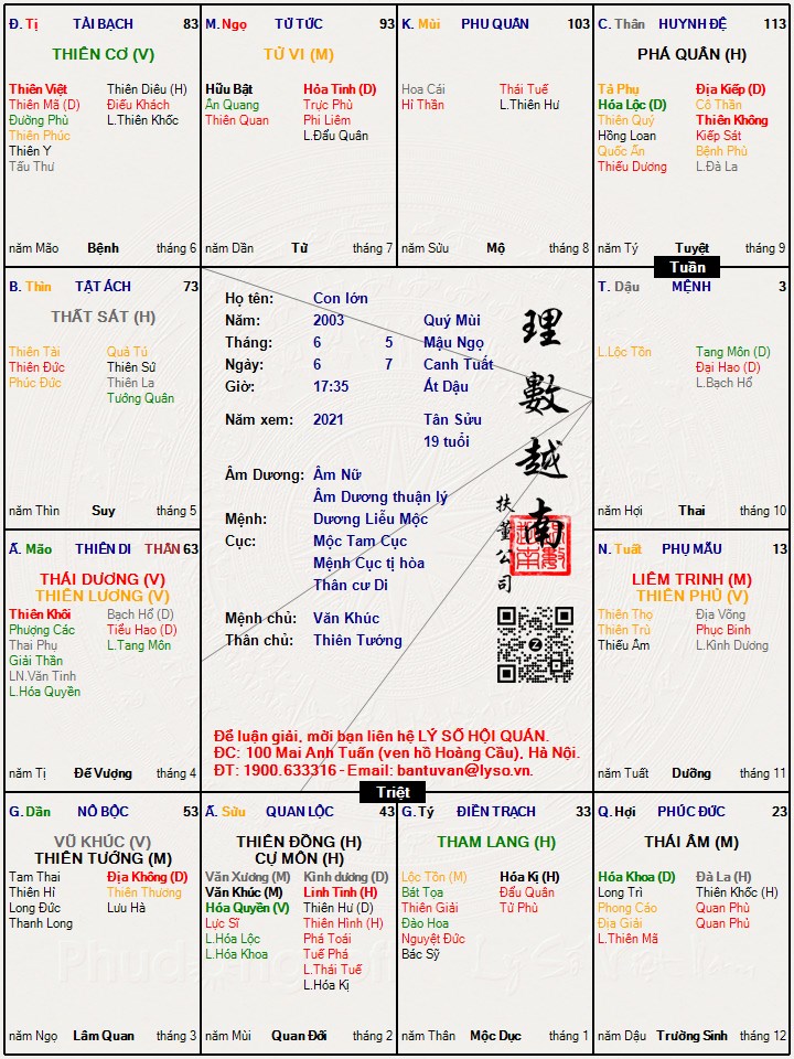 Hình ảnh