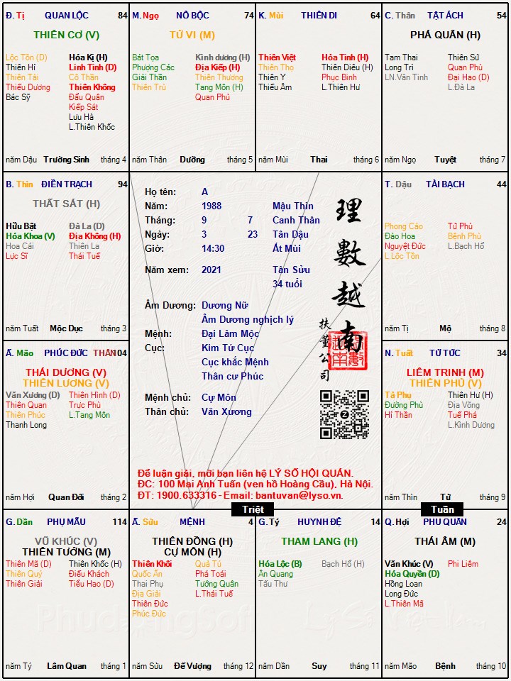 Hình ảnh