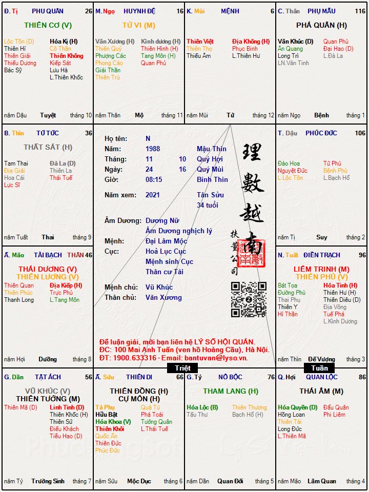Hình ảnh