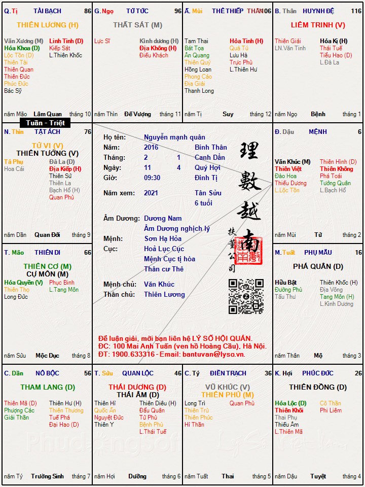 Hình ảnh