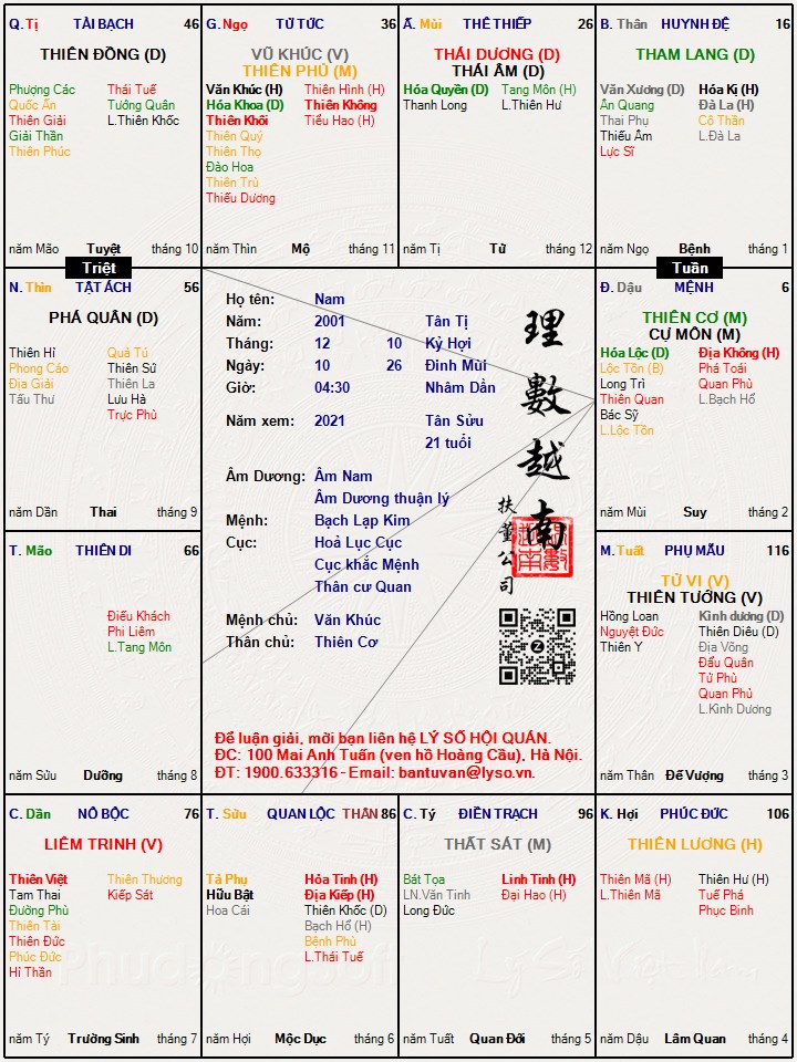 Hình ảnh