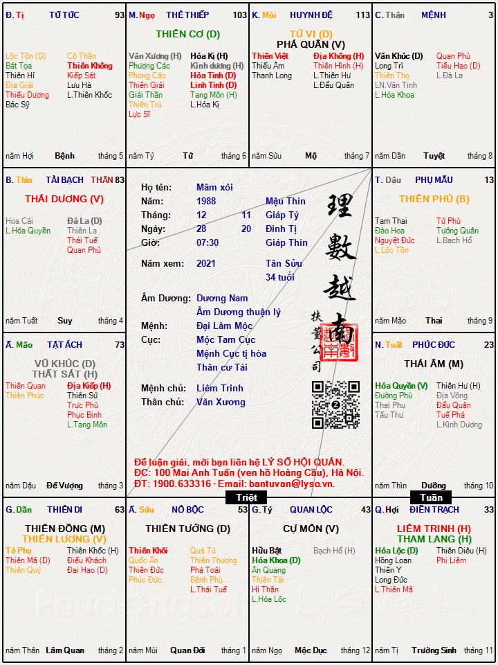 Hình ảnh