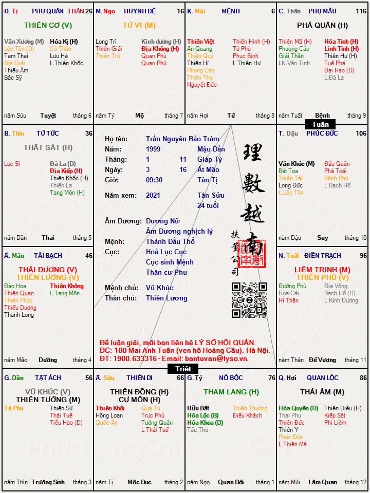 Hình ảnh