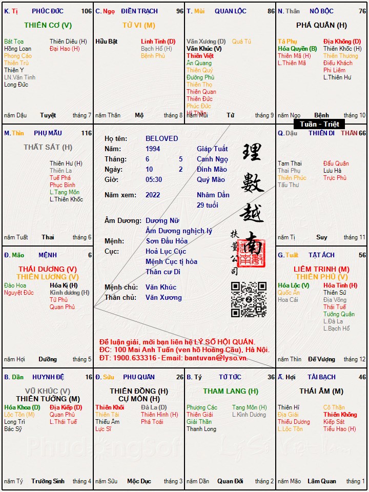 Hình ảnh