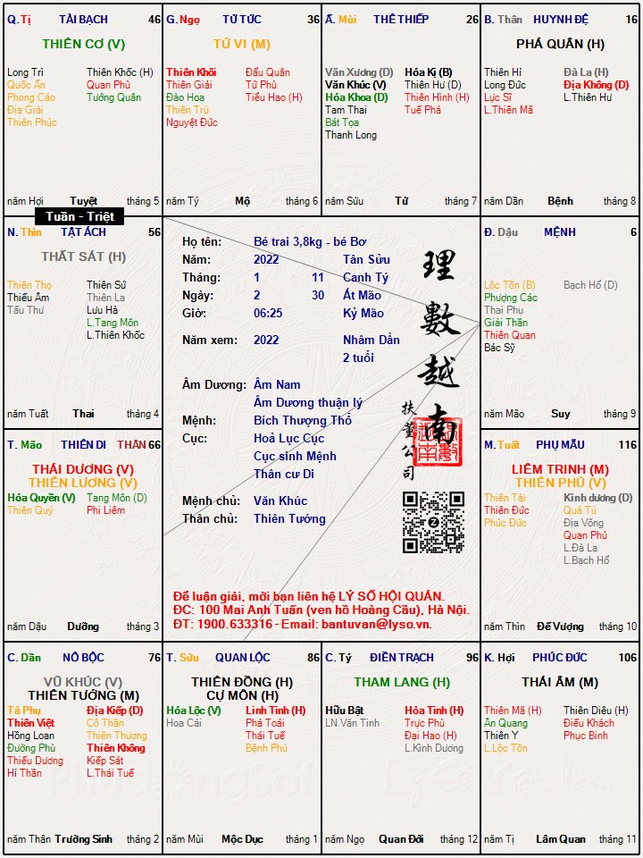 Hình ảnh