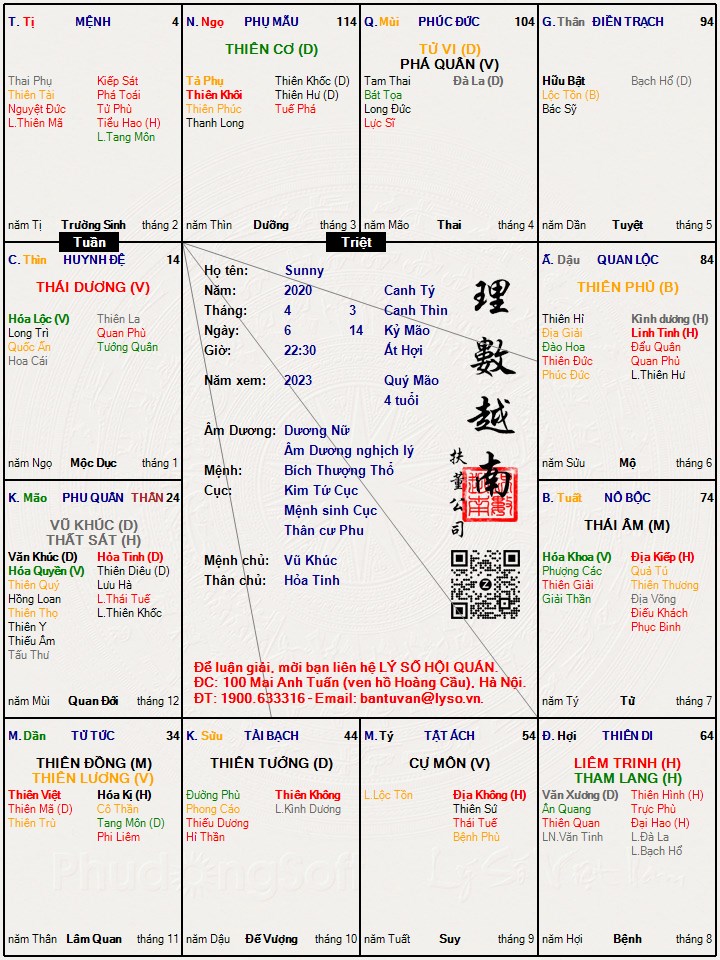 Hình ảnh