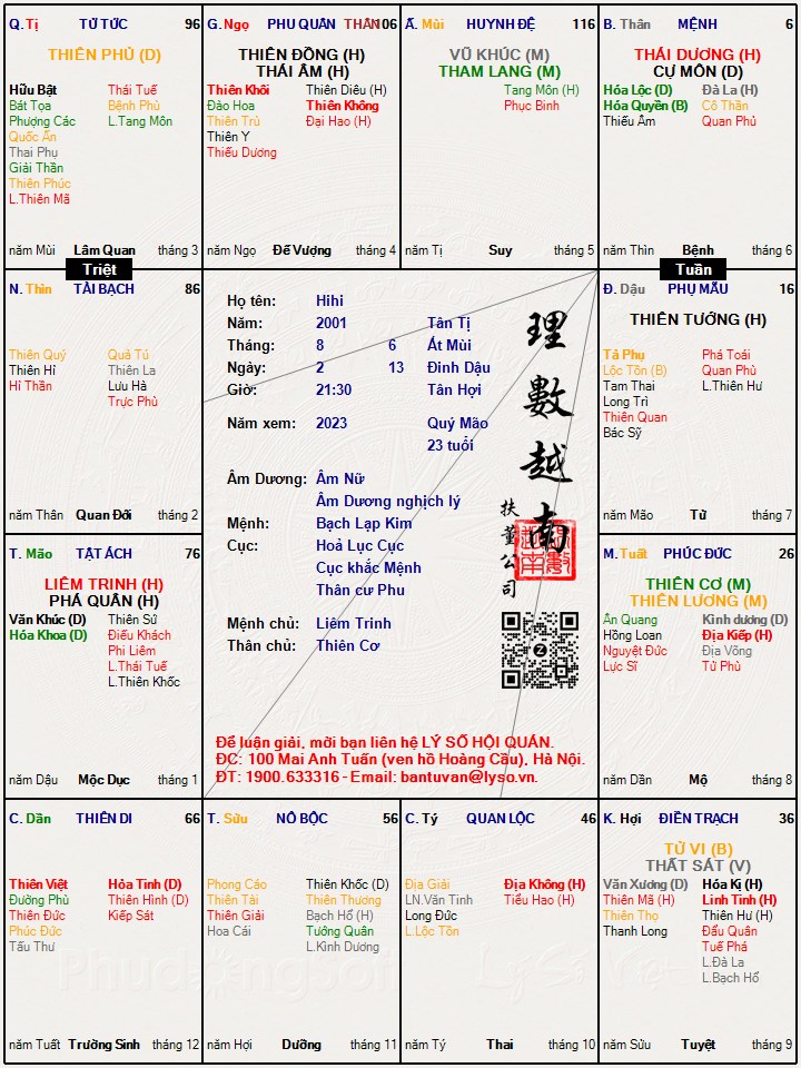 Hình ảnh