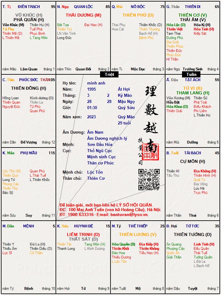 Hình ảnh