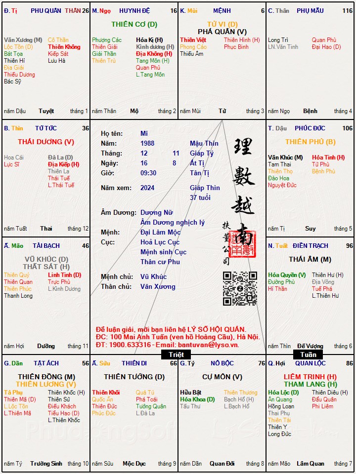 Hình ảnh