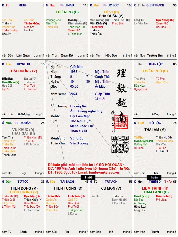 Hình ảnh
