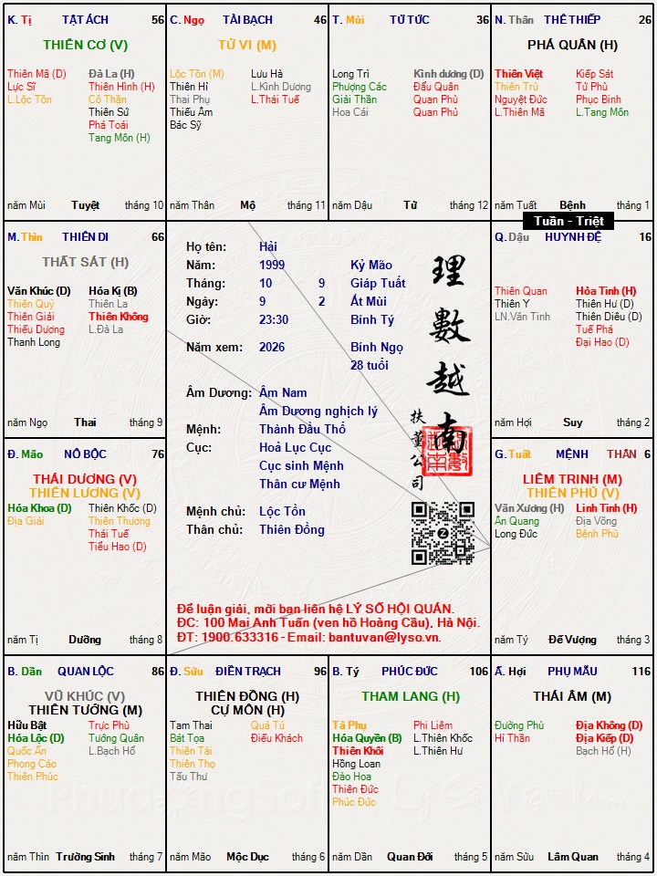 Hình ảnh